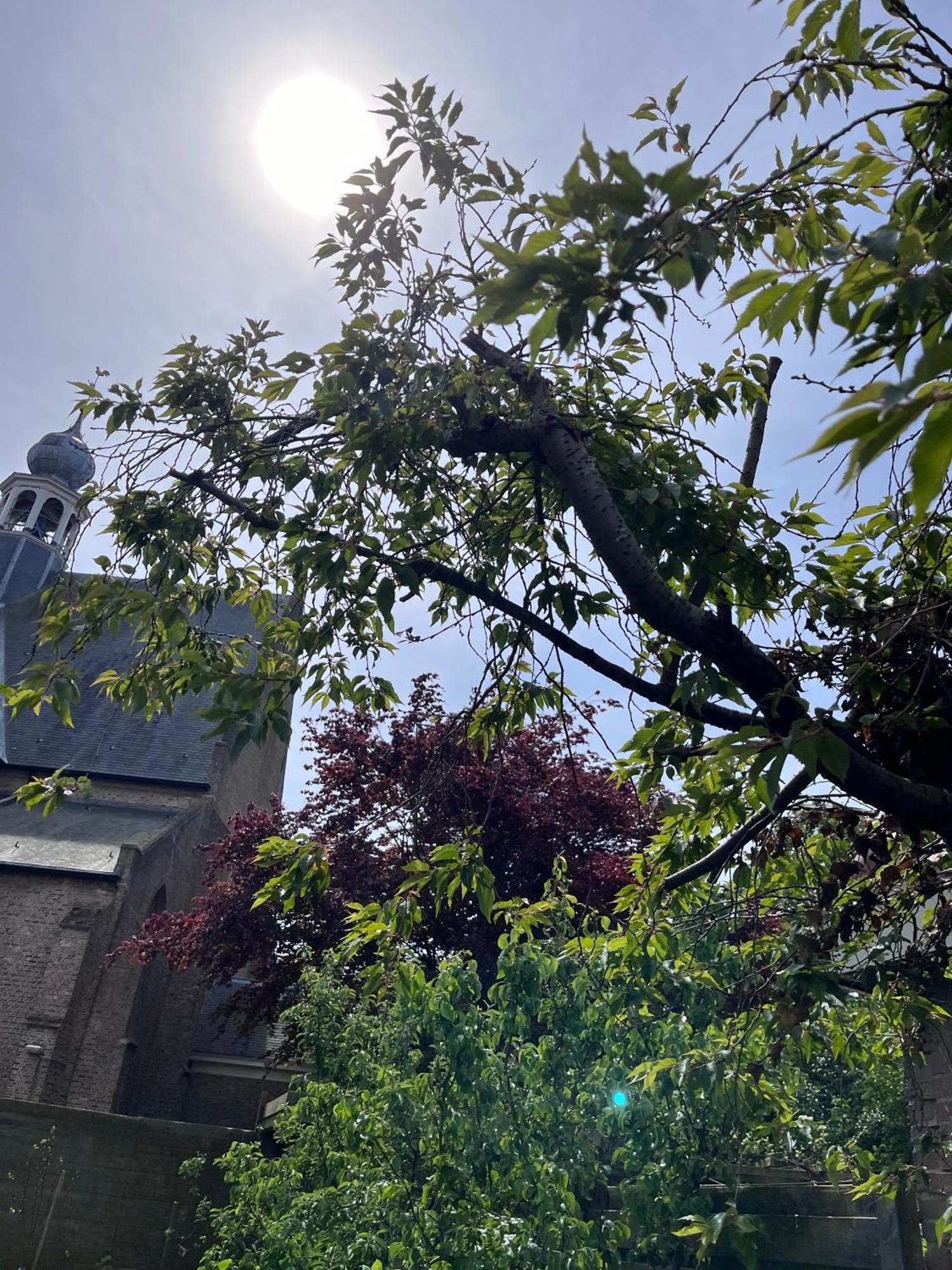 Appartement 'T-Yesenaertje Yerseke Zewnętrze zdjęcie